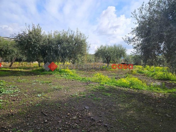 terreno agricolo in vendita a Belpasso