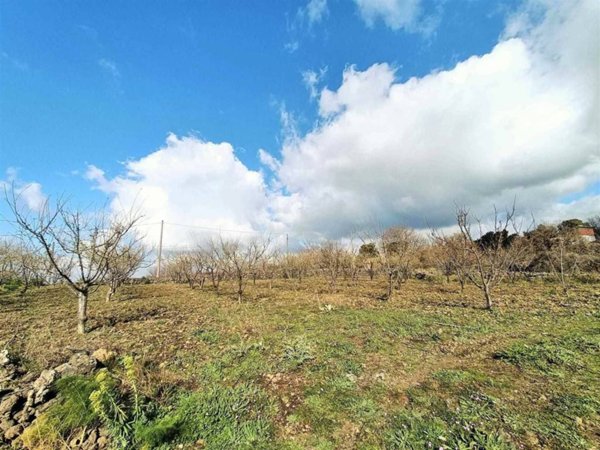 terreno agricolo in vendita a Belpasso
