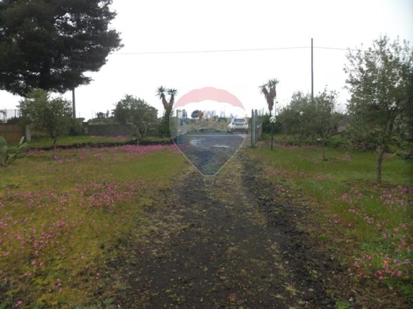 terreno agricolo in vendita a Belpasso