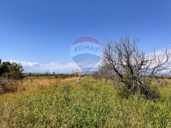 terreno agricolo in vendita a Belpasso