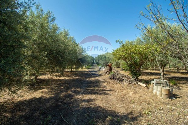 terreno agricolo in vendita a Belpasso