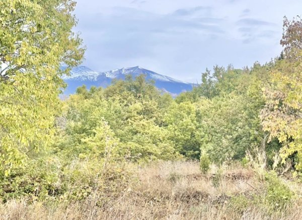 terreno agricolo in vendita a Belpasso