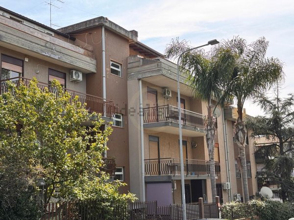 appartamento in vendita a Belpasso