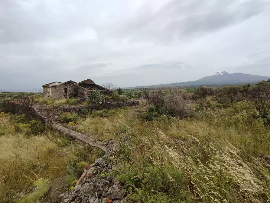 azienda agricola in vendita a Belpasso
