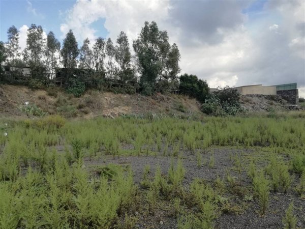 terreno edificabile in vendita a Belpasso