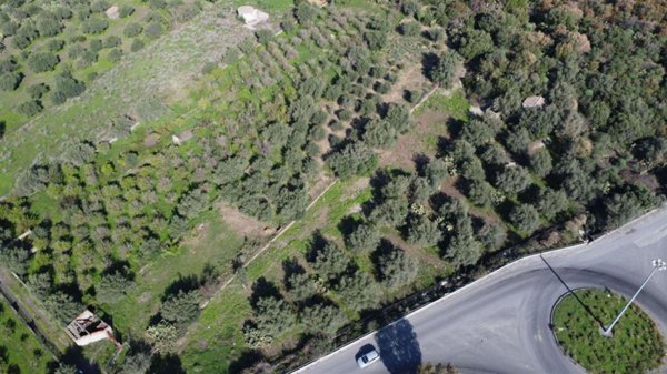 negozio in vendita a Belpasso in zona Piano Tavola