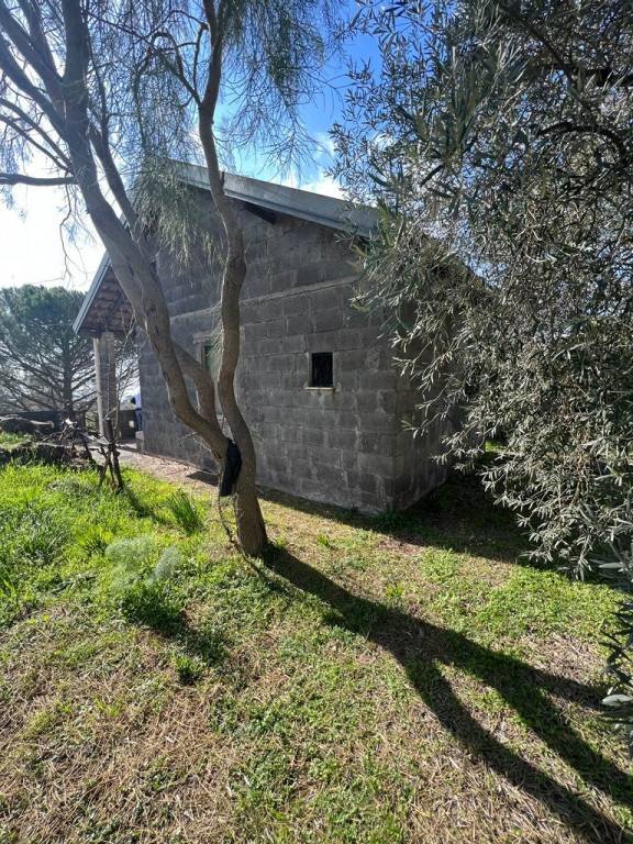 terreno agricolo in vendita a Belpasso