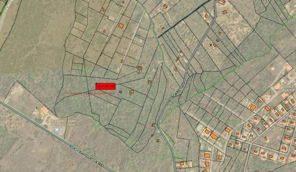 terreno agricolo in vendita a Belpasso