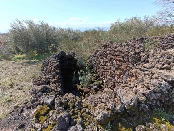terreno agricolo in vendita a Belpasso