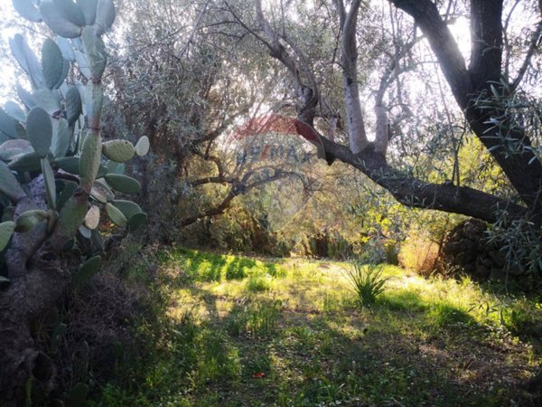 terreno agricolo in vendita a Belpasso in zona Piano Tavola