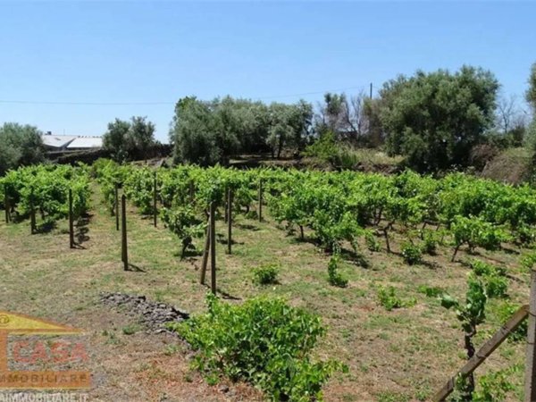 terreno agricolo in vendita a Belpasso