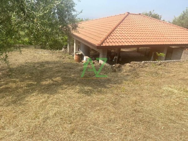 terreno agricolo in vendita a Belpasso