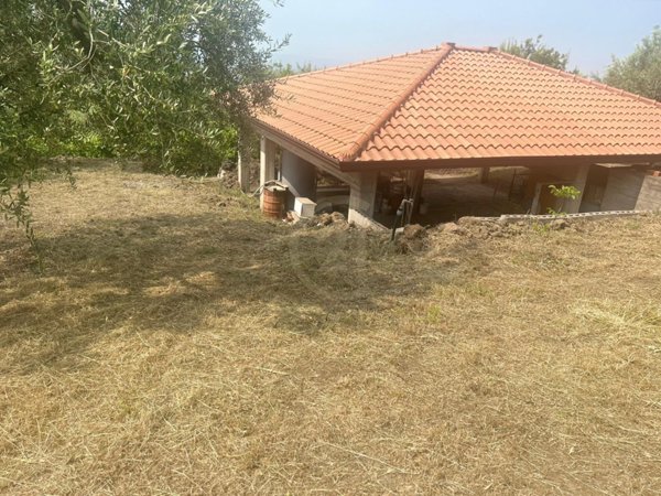 immagine annuncio 0 di 6
