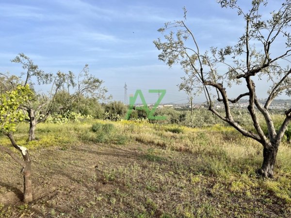 terreno agricolo in vendita a Belpasso