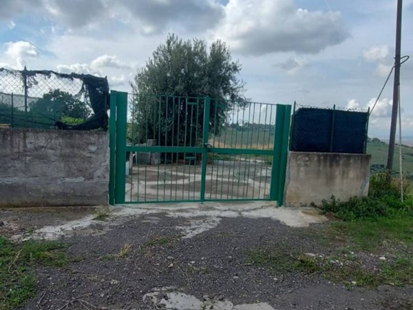 terreno agricolo in vendita a Belpasso