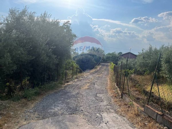 terreno agricolo in vendita a Belpasso