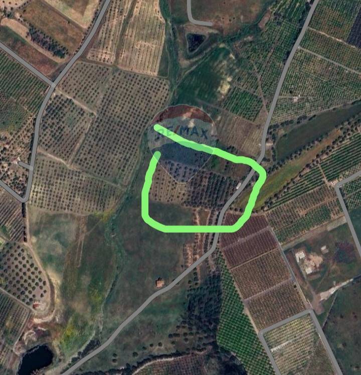 terreno agricolo in vendita a Belpasso