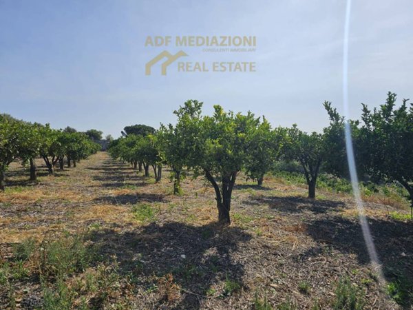 terreno agricolo in vendita a Belpasso
