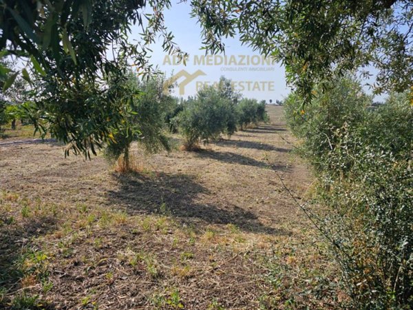 terreno agricolo in vendita a Belpasso