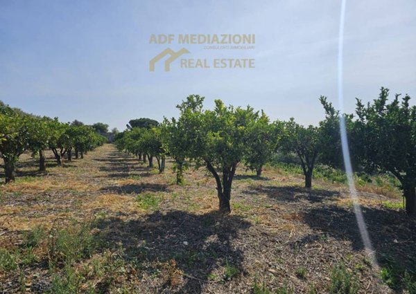 terreno agricolo in vendita a Belpasso
