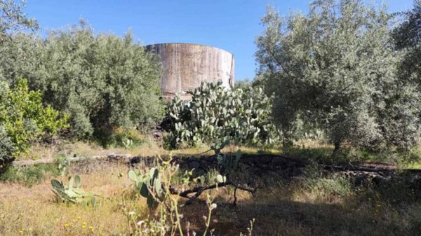 terreno agricolo in vendita a Belpasso