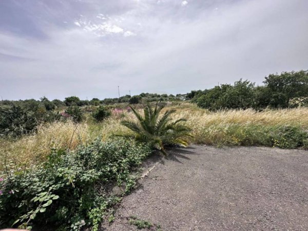 terreno agricolo in vendita a Belpasso