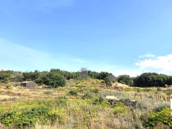 terreno agricolo in vendita a Belpasso