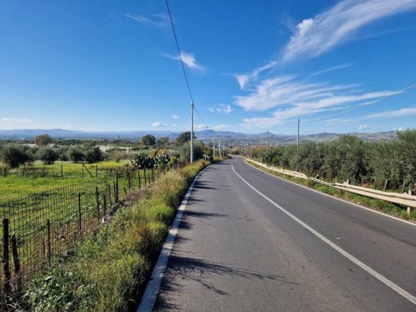 terreno agricolo in vendita a Belpasso