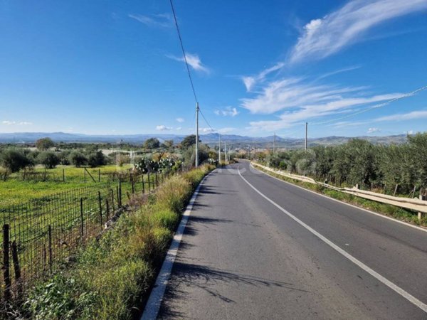 terreno agricolo in vendita a Belpasso