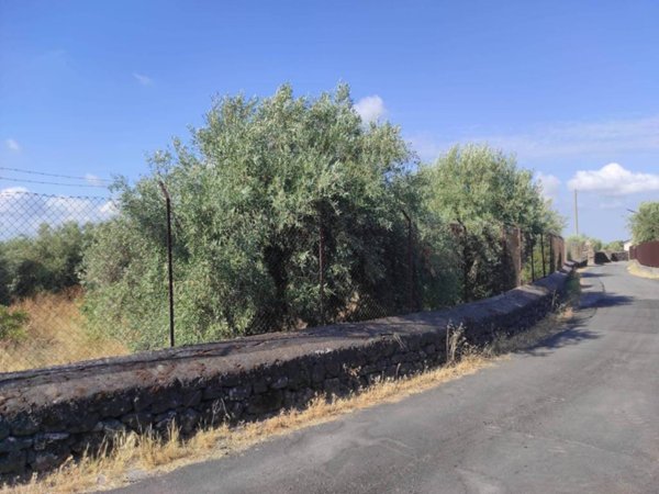 terreno agricolo in vendita a Belpasso