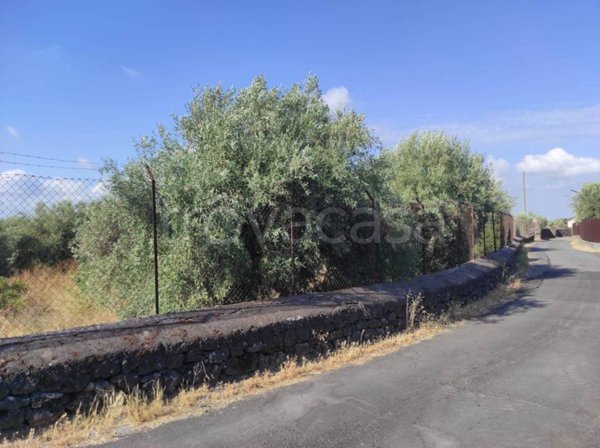 terreno agricolo in vendita a Belpasso