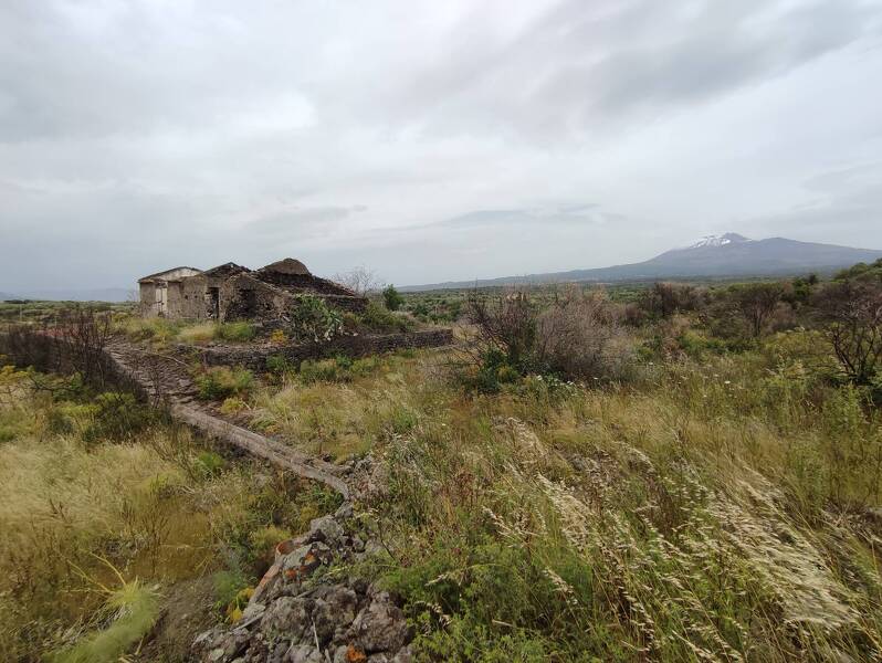 azienda agricola in vendita a Belpasso