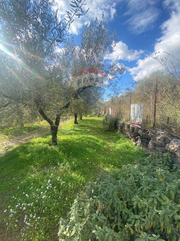 terreno agricolo in vendita a Belpasso