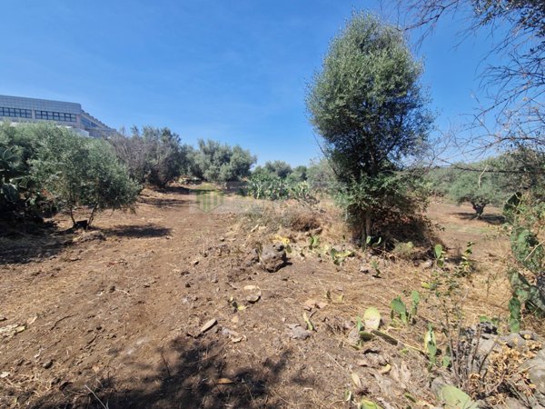 terreno agricolo in vendita a Belpasso