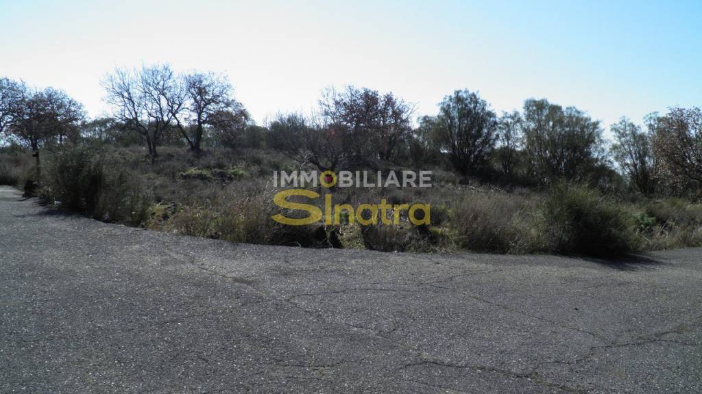 terreno agricolo in vendita a Belpasso