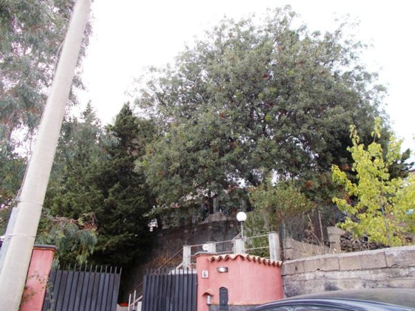 casa indipendente in vendita a Belpasso