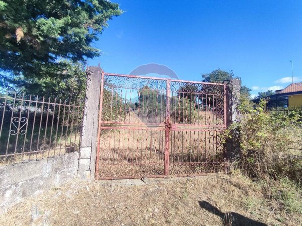 terreno agricolo in vendita a Belpasso