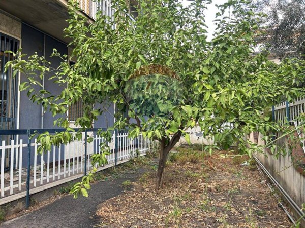 appartamento in vendita a Belpasso