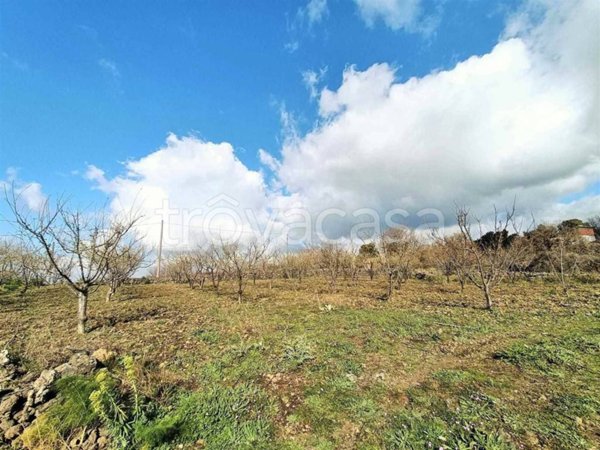 terreno agricolo in vendita a Belpasso