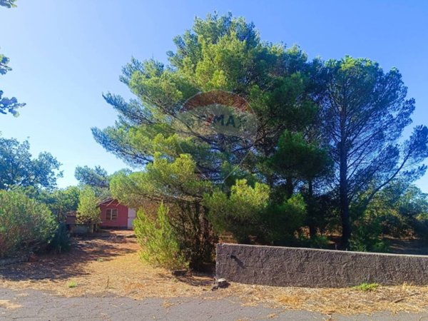 terreno agricolo in vendita a Belpasso