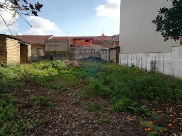 terreno agricolo in vendita a Belpasso