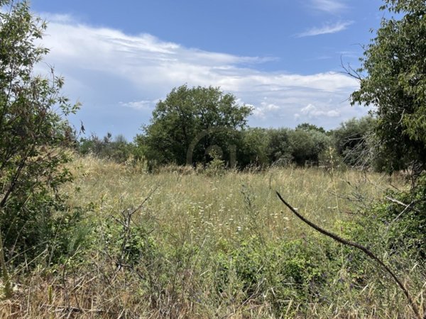 terreno agricolo in vendita a Belpasso