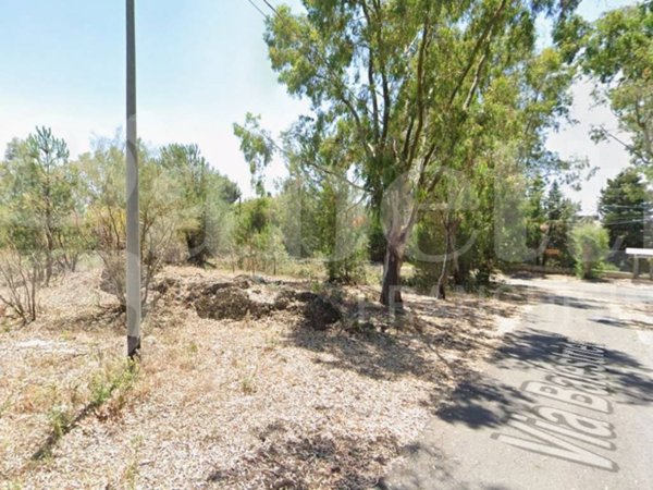 terreno agricolo in vendita a Belpasso