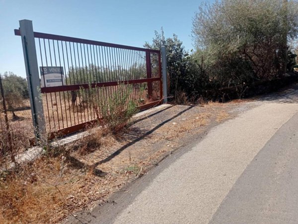 terreno agricolo in vendita a Belpasso in zona Piano Tavola