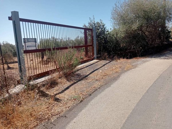 terreno agricolo in vendita a Belpasso in zona Piano Tavola