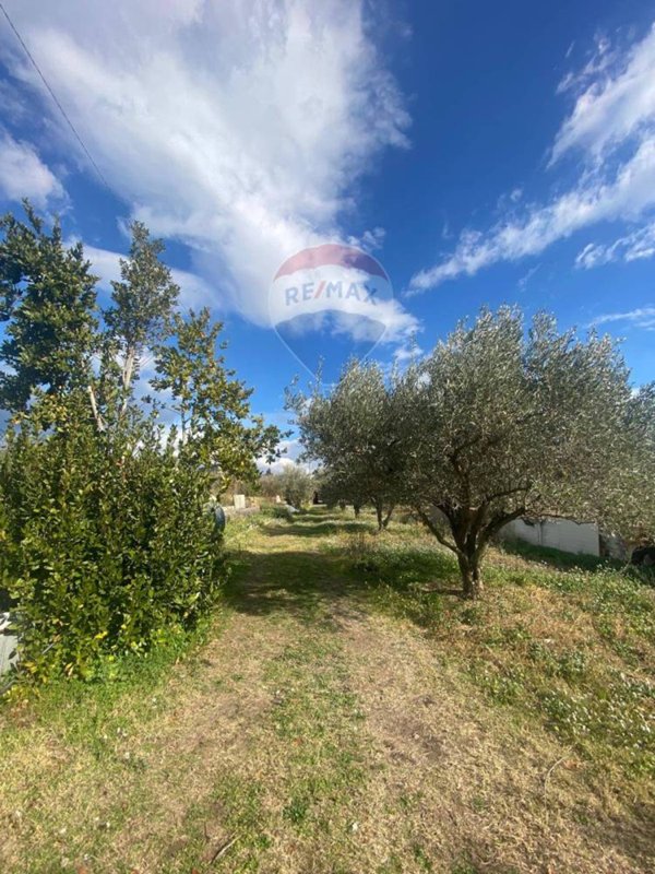 terreno agricolo in vendita a Belpasso