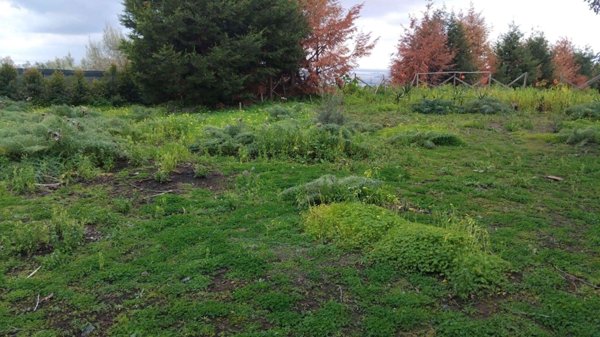 terreno agricolo in vendita a Belpasso