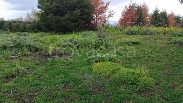 terreno agricolo in vendita a Belpasso