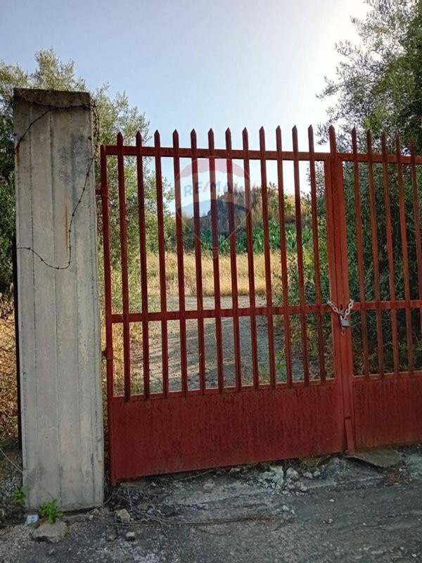 terreno agricolo in vendita a Belpasso