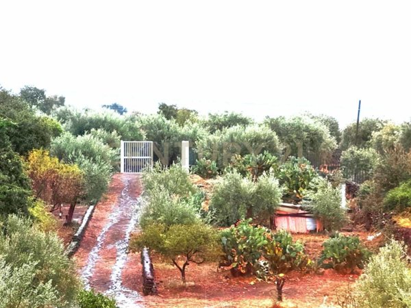 terreno agricolo in vendita a Belpasso